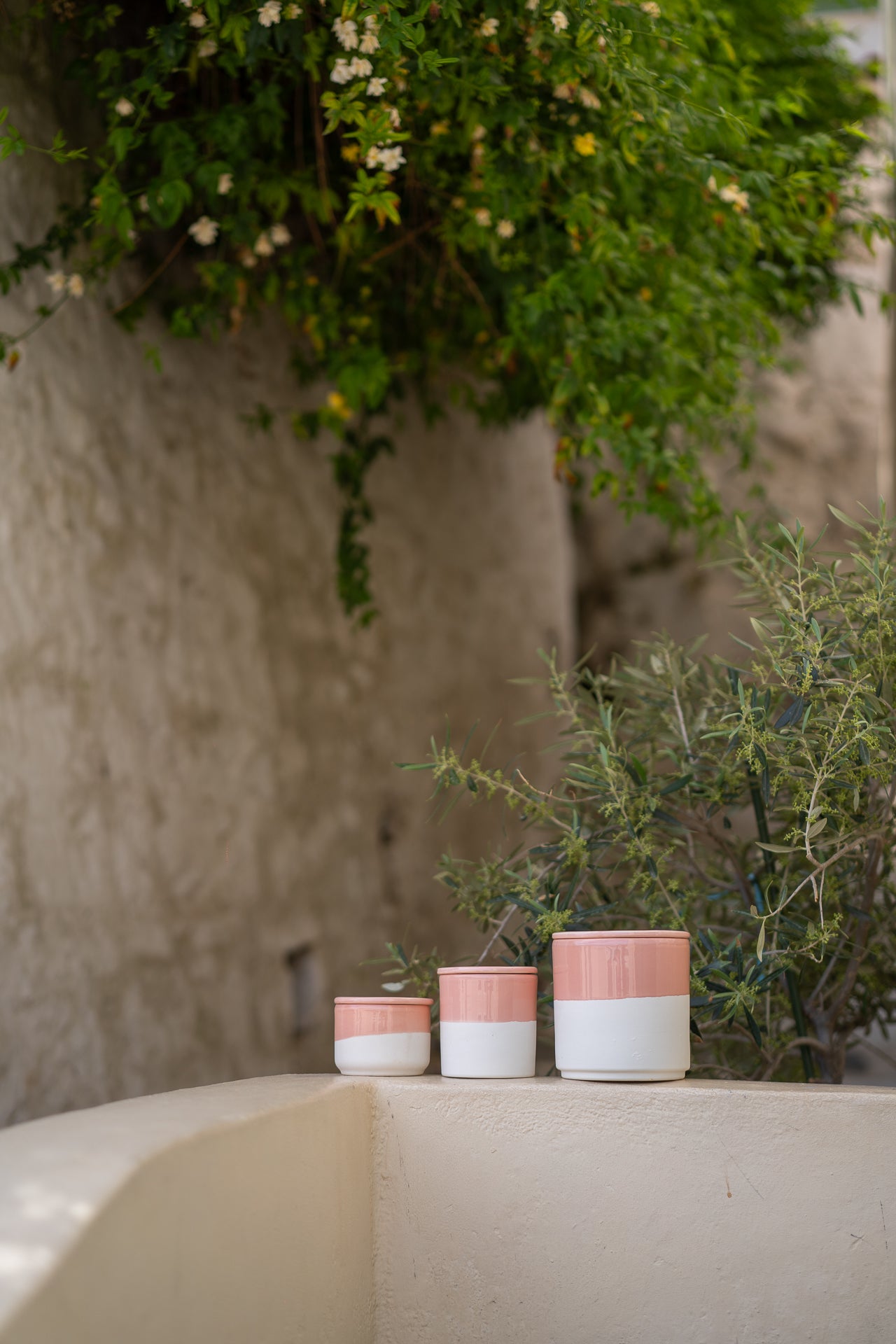 Pink Sugar Candle / PRE-ORDER