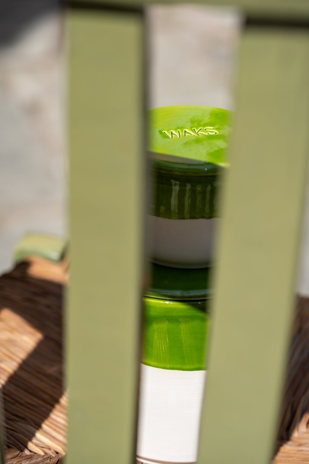 Wildfeigenkerze / VORBESTELLUNG